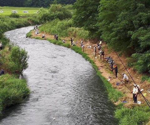 湯川ニジマス釣り場開設